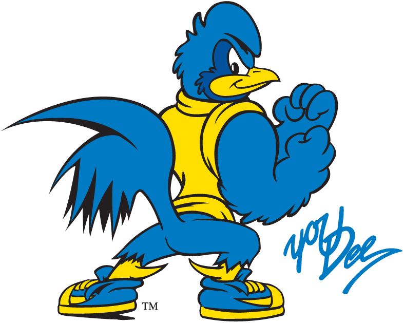 Delaware Blue Hens 1993-Pres Mascot Logo diy iron on heat transfer